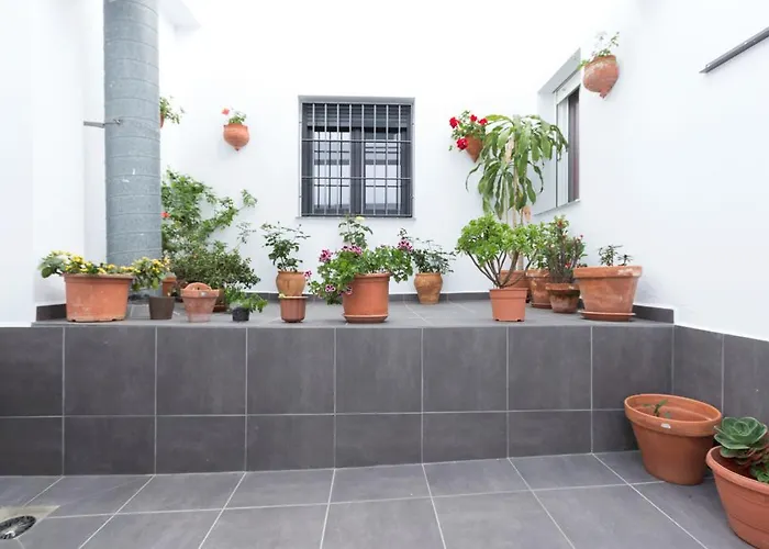 El Yunque ゲストハウス